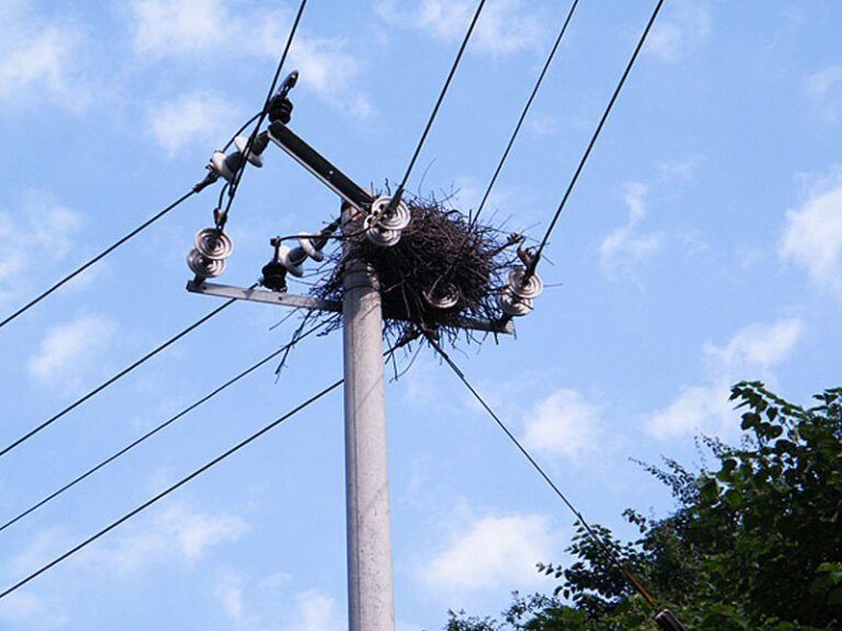 Vogelnester auf Hochspannungsleitungen